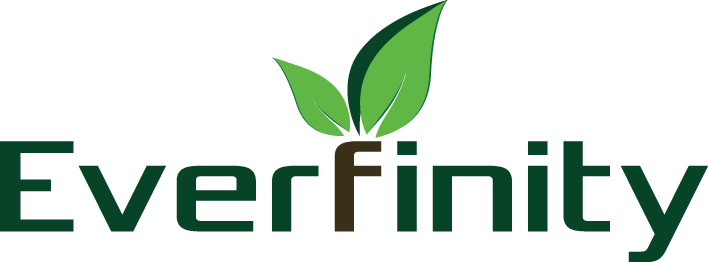 Everfinity Logo